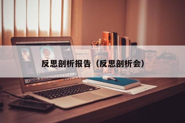 反思剖析报告（反思剖析会）