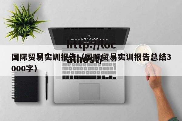 国际贸易实训报告(国际贸易实训报告总结3000字)